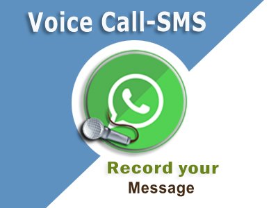 voice-call